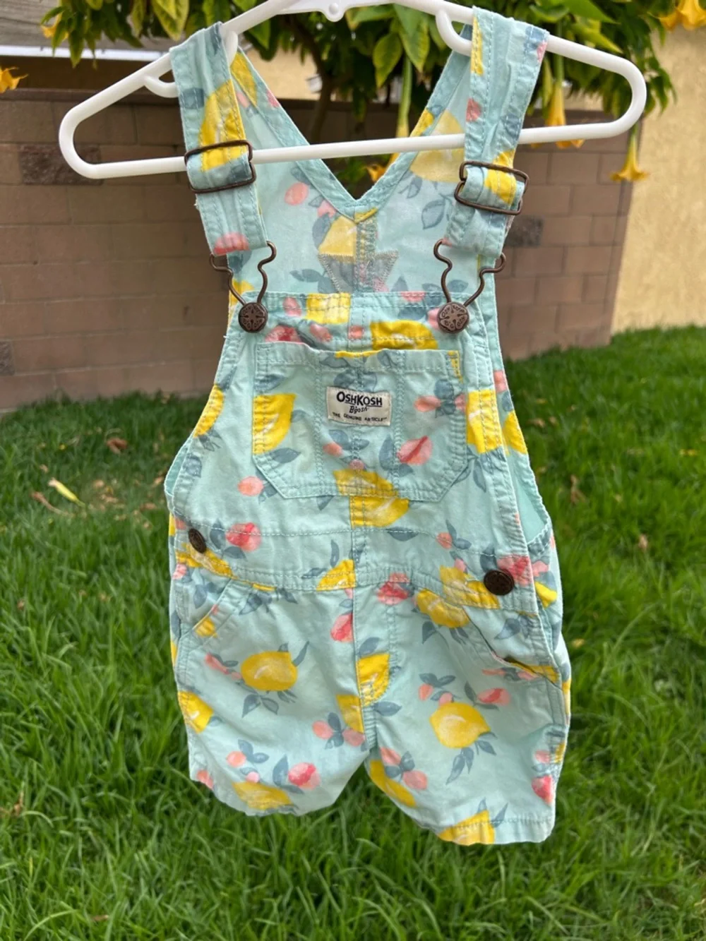 OshKosh B'gosh Aqua Lemon Print Overalls